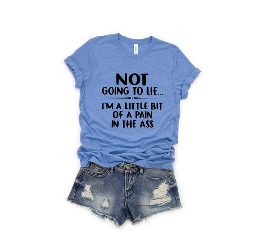 I'm Not Going to Lie I'm a Little Bit of a Pain in the Ass  ~ Adult Unisex T~Shirt or Ladies Tank Top