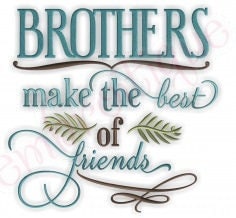 Embroidered Brothers make best friends White Flour Sack Towel/Tea Towel/Kitchen Towel